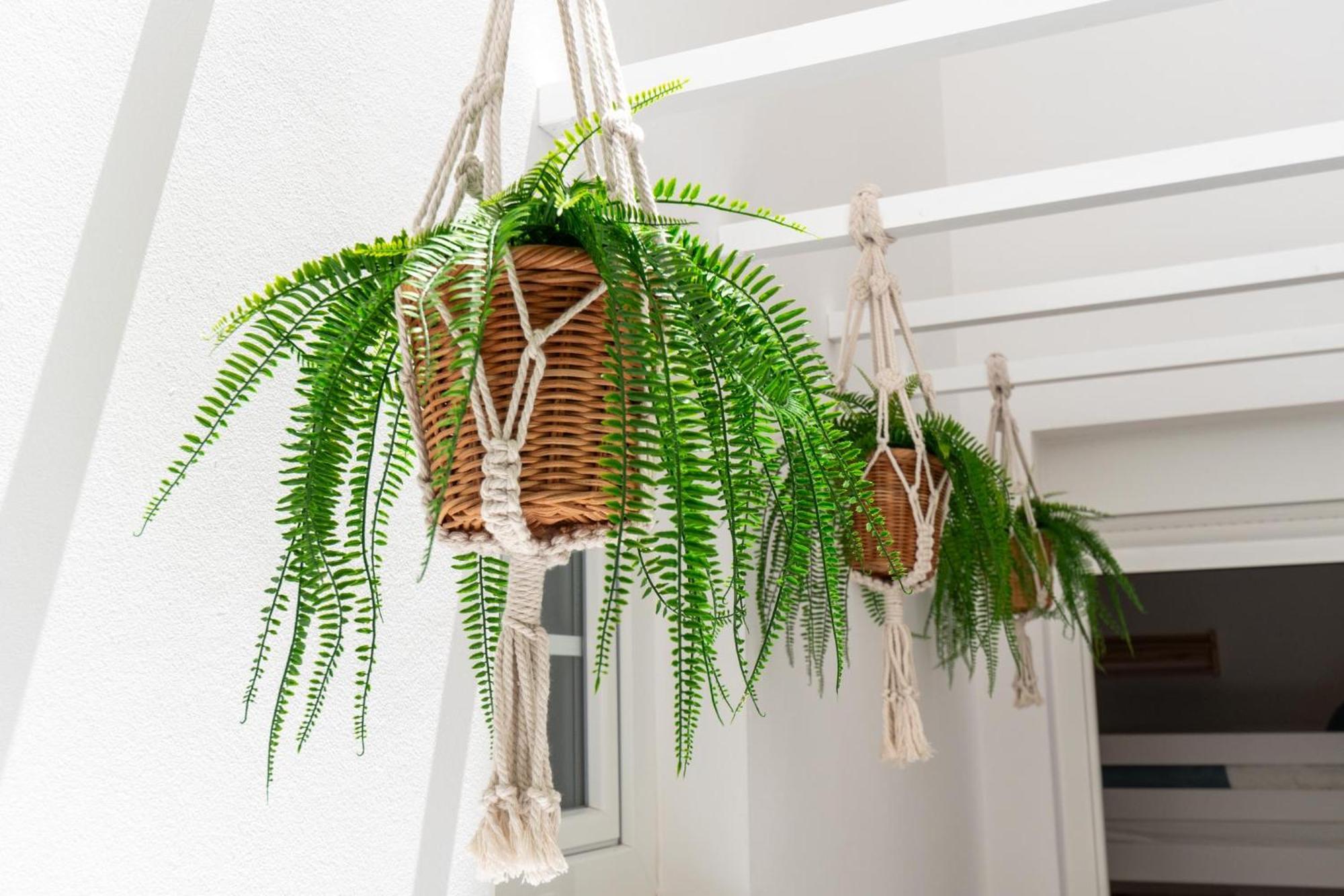 Hidalgos Hideaway - La Caleta Apartment Costa Adeje  Ngoại thất bức ảnh